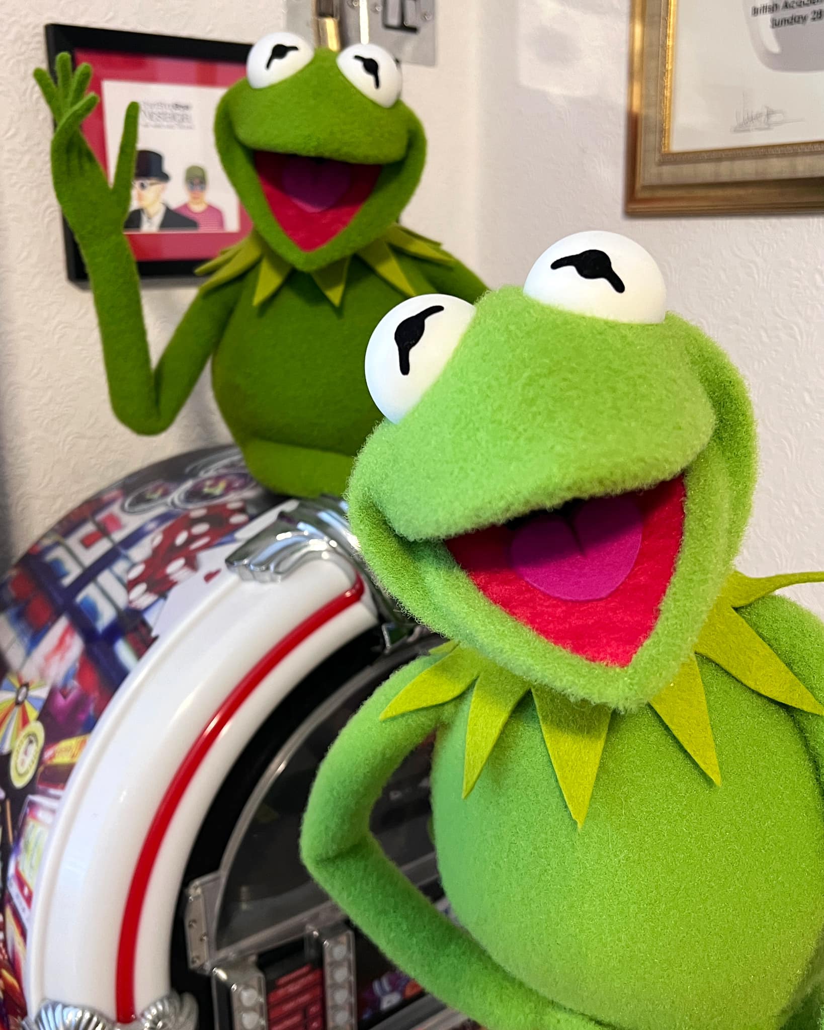 Hi oh, Kermit the Frog Here #kermitthefrog #sesamestreet #parody