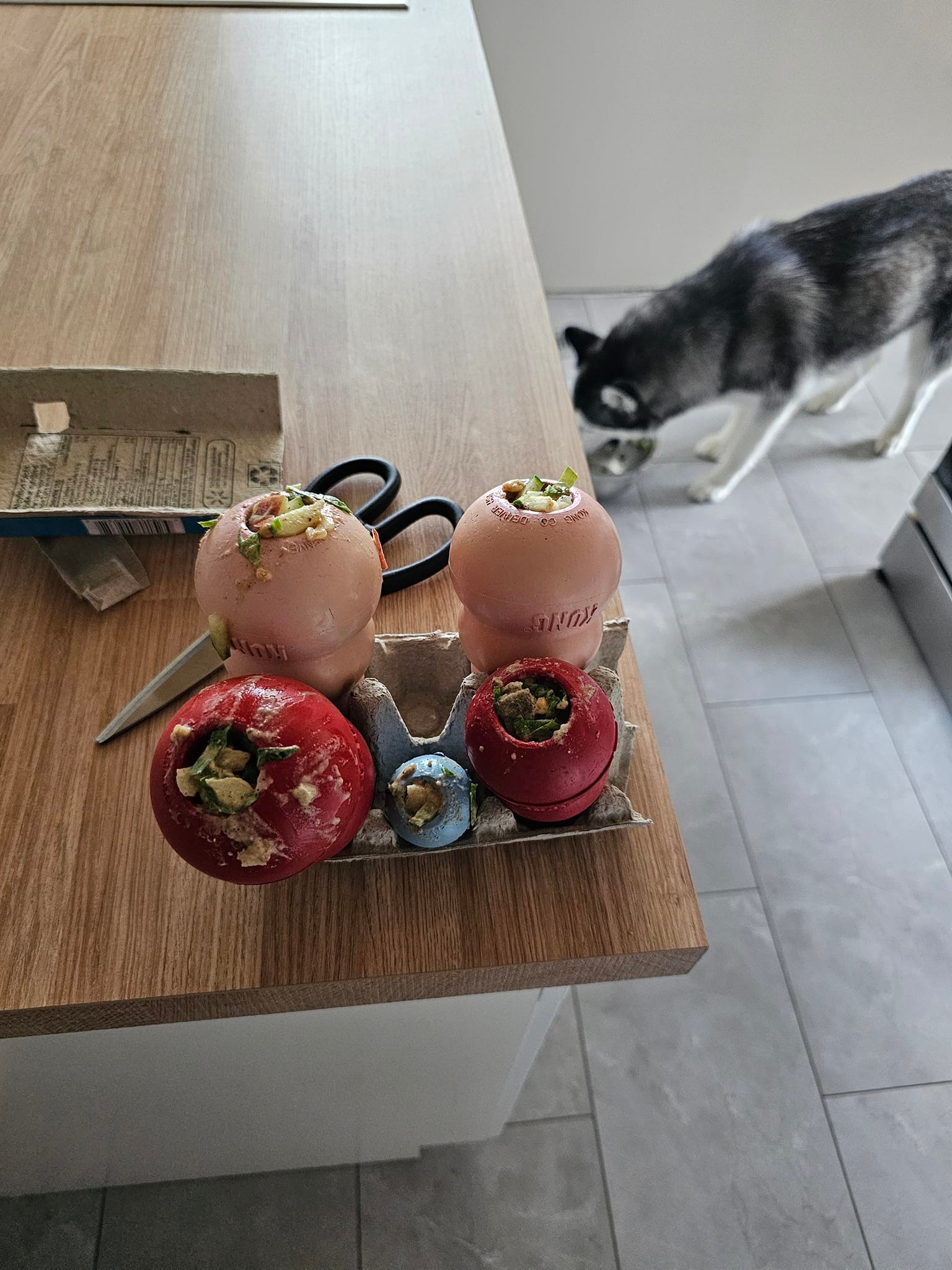 Homemade Frozen Treats for Dogs Using Egg Cartons as Kong Holders