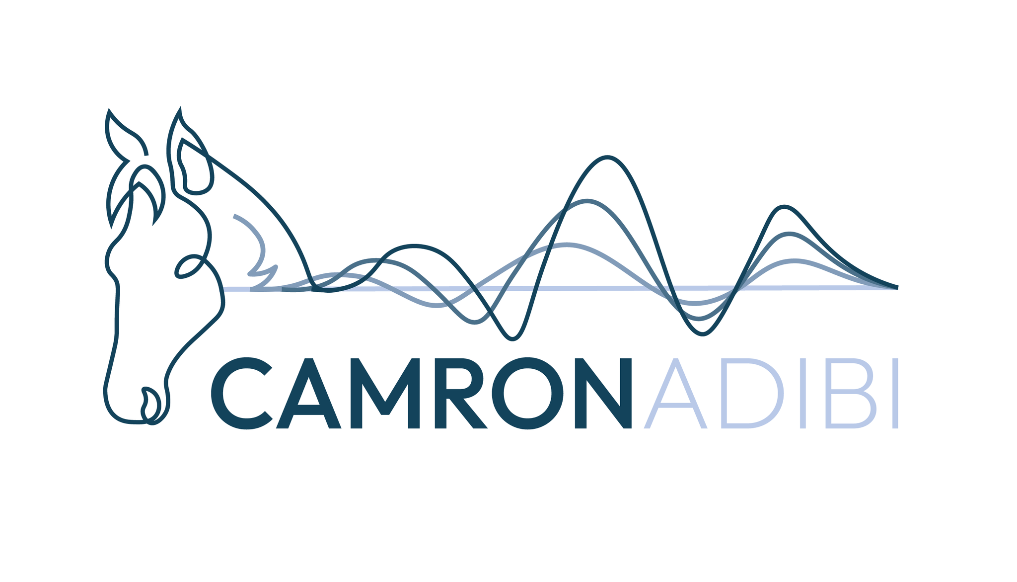 Camron Adibi
