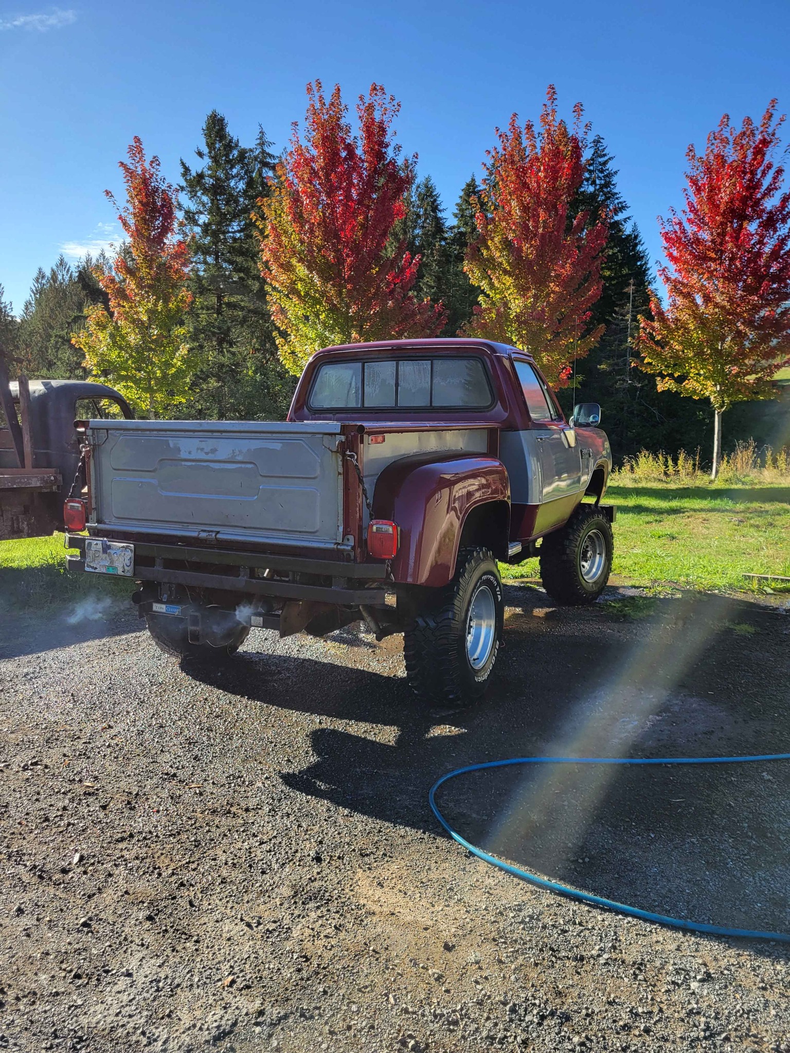 ACC 1978-1989 Dodge D150 Reg Cab 2WD Auto Cutpile