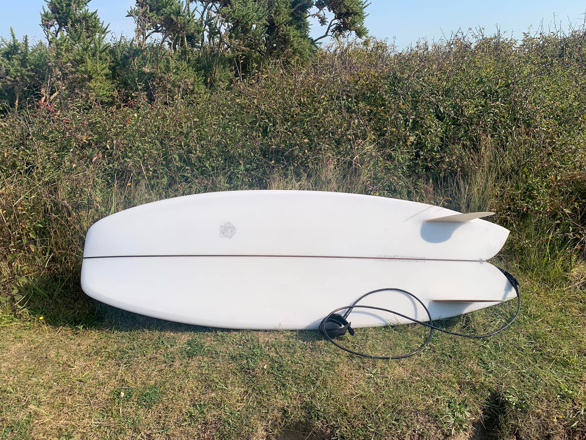 After a slightly frustrating, mostly inspiring surf on a mini 