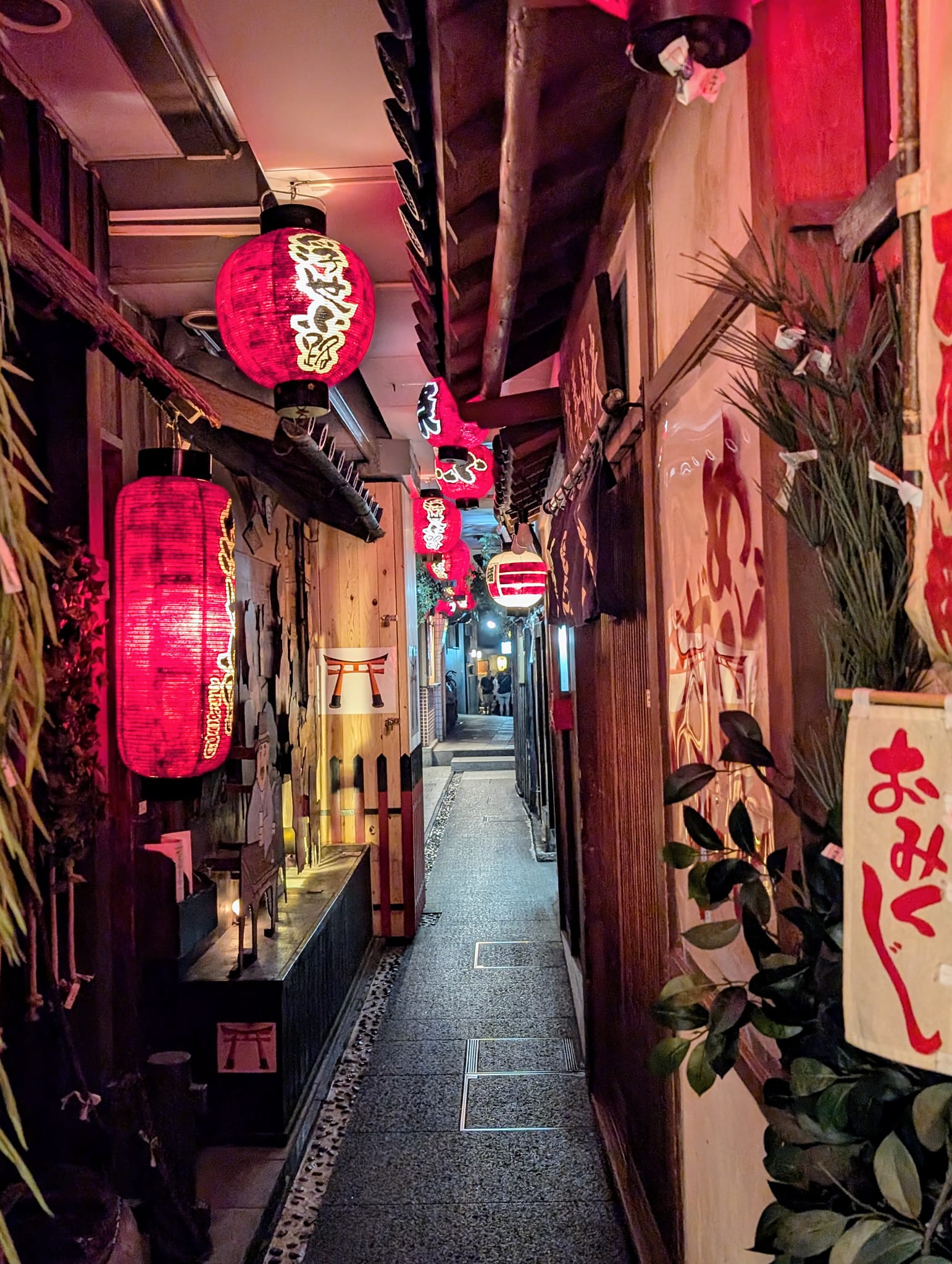 Family trip to Japan: Tokyo, Kyoto, and Osaka adventures