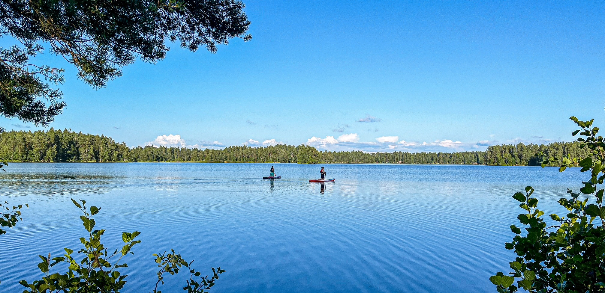 Pohjankyrö-lehti