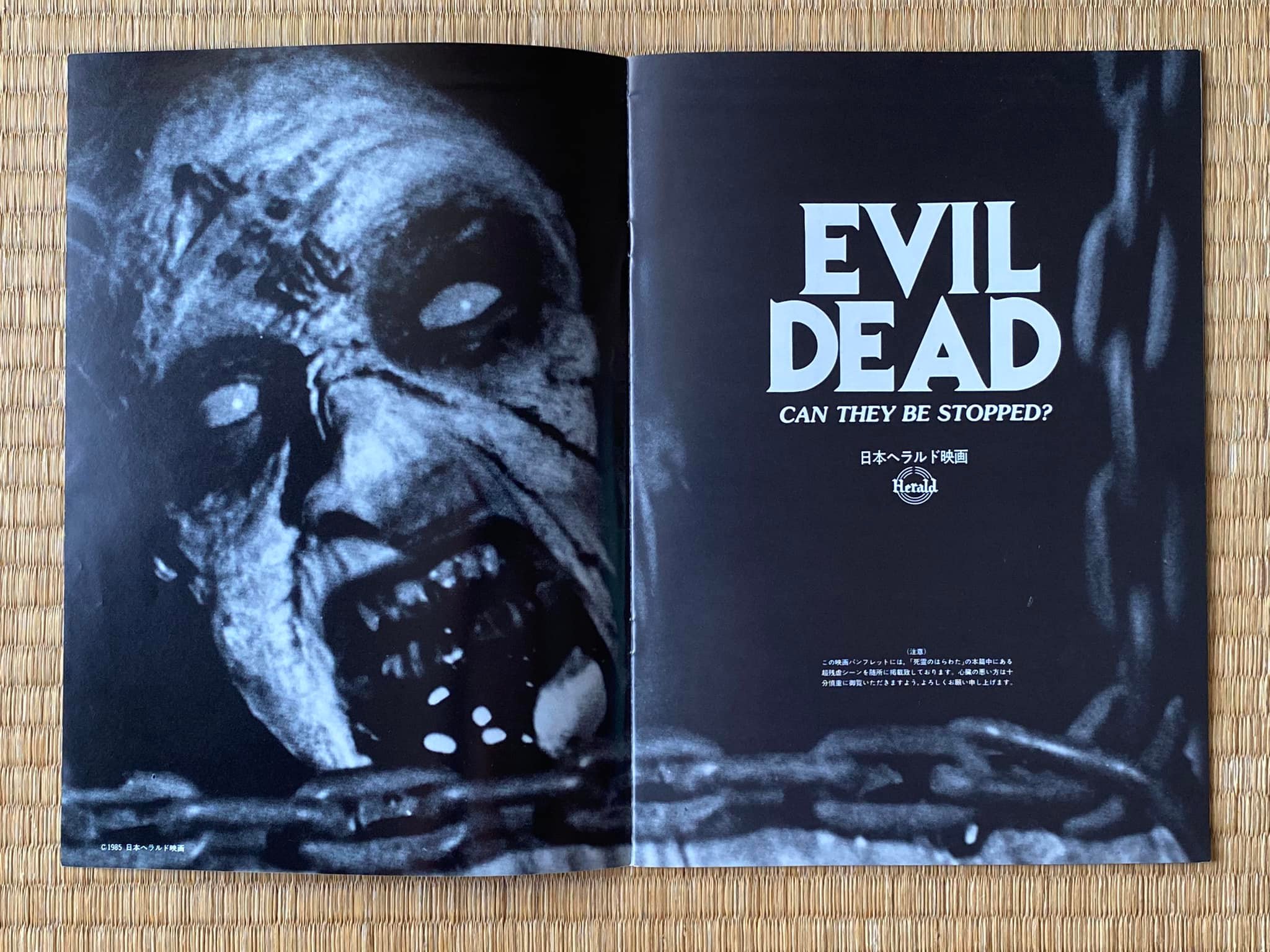 The Evil Dead (1981) RARE Horror/ Comedy Bruce Campbell Japanese 