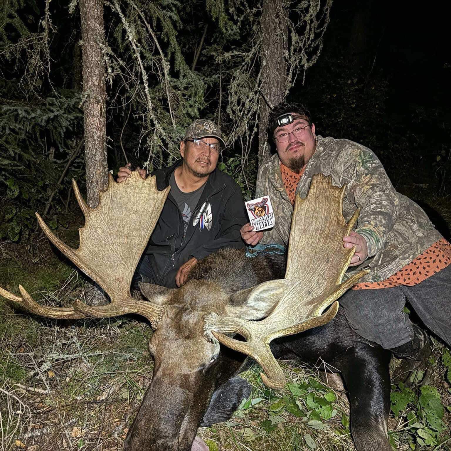 Darcy - First harvest of the season!! Lots of fat on this old bull and ...
