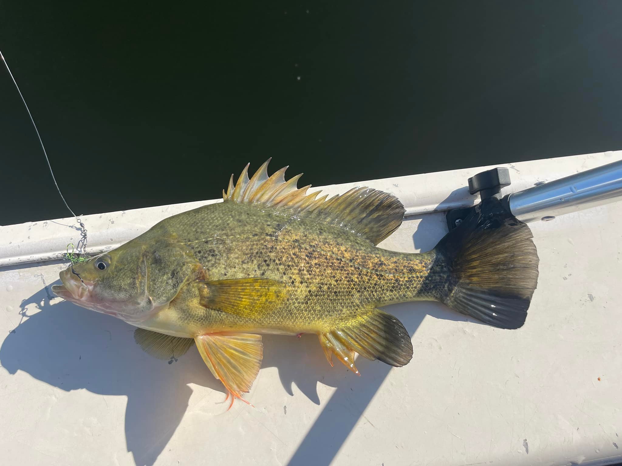 What are the best fishing spots for 35cm fish?