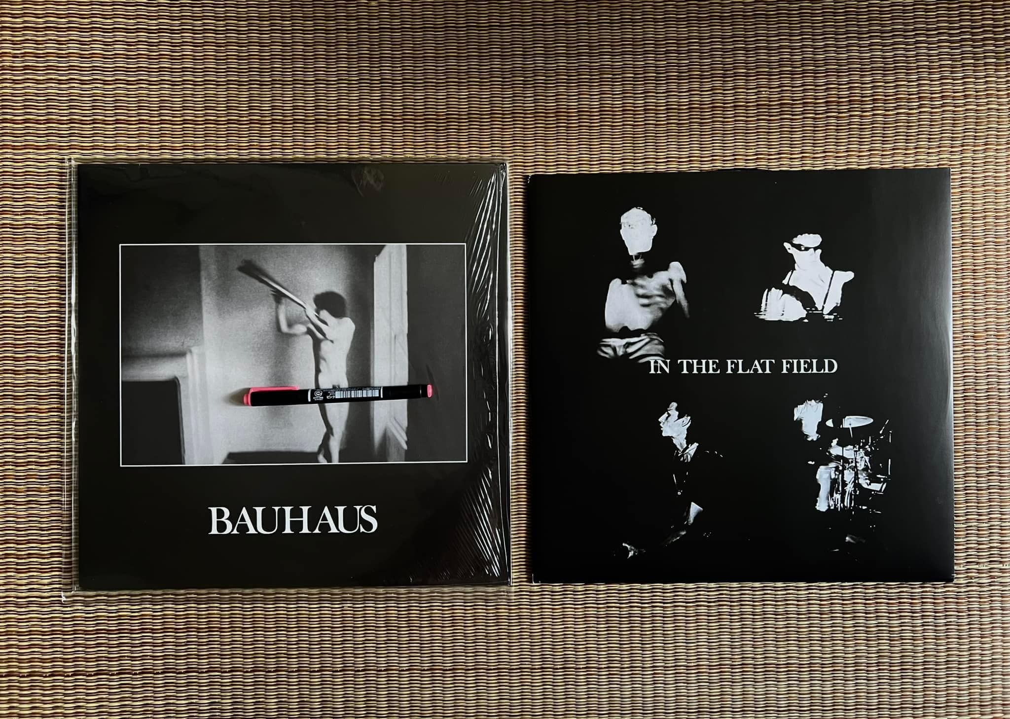 On this day in 1980 , Bauhaus released their debut studio album