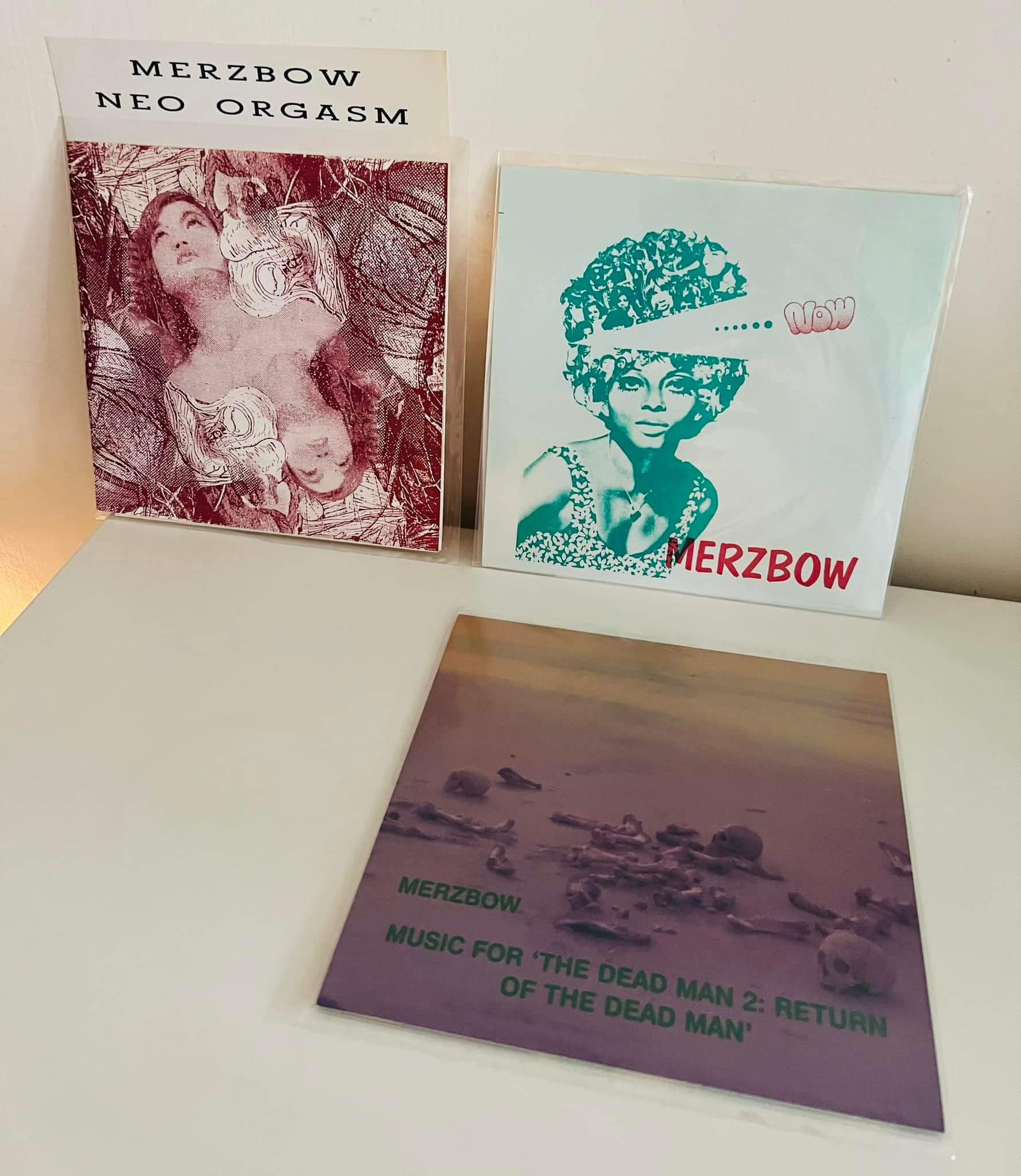 Merzbow