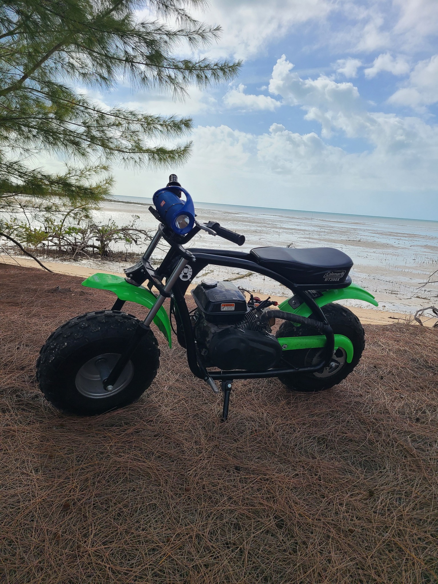 coleman black/green mini bike 196cc - bt200x-gb B200 Coleman BT200X 196cc Gas Powered