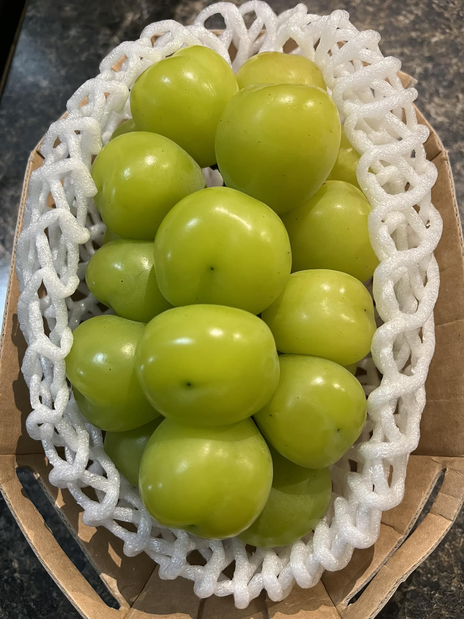 Shine Muscat Grapes from Korea