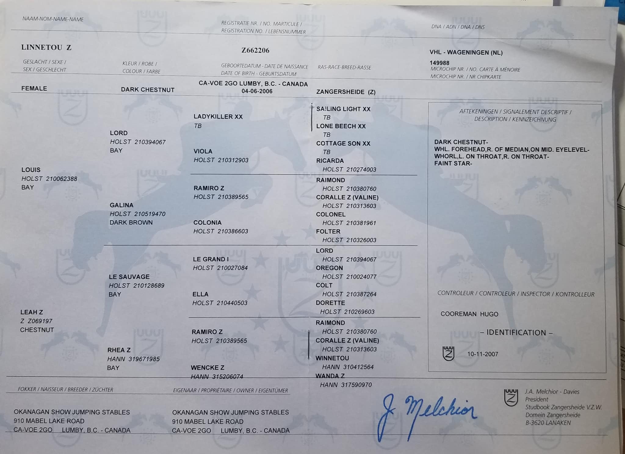 Linnetou Z mare for breeding in Canada