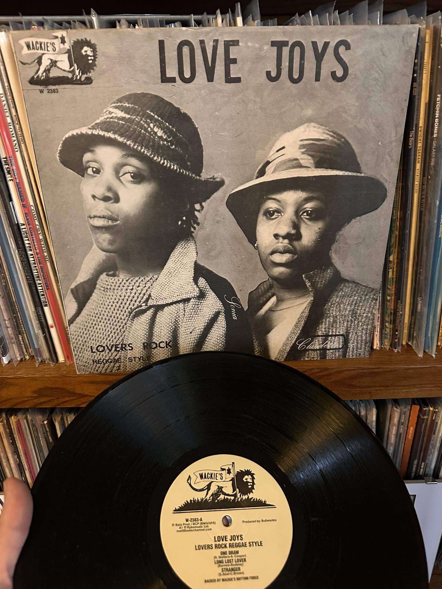 Love Joys – Lovers Rock Reggae Style (1983 Wackies)