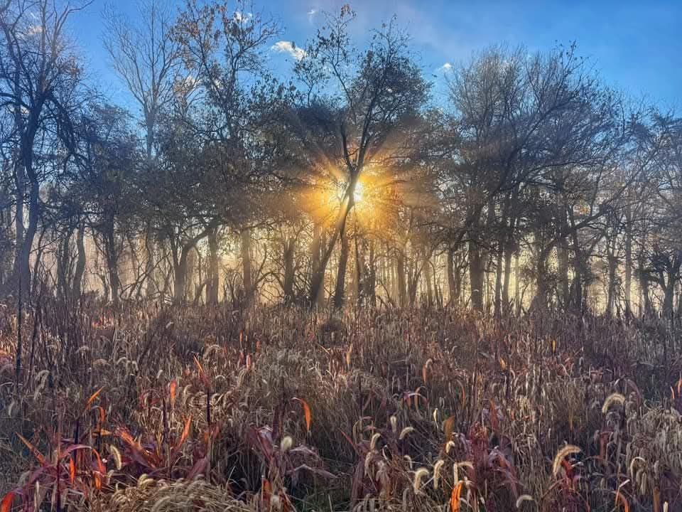 Maryland Public Land Hunters | Hello guys I’m an avid hunter who tagged ...