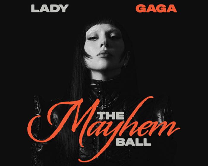 What are Gold VIP package perks for Lady Gaga concert?