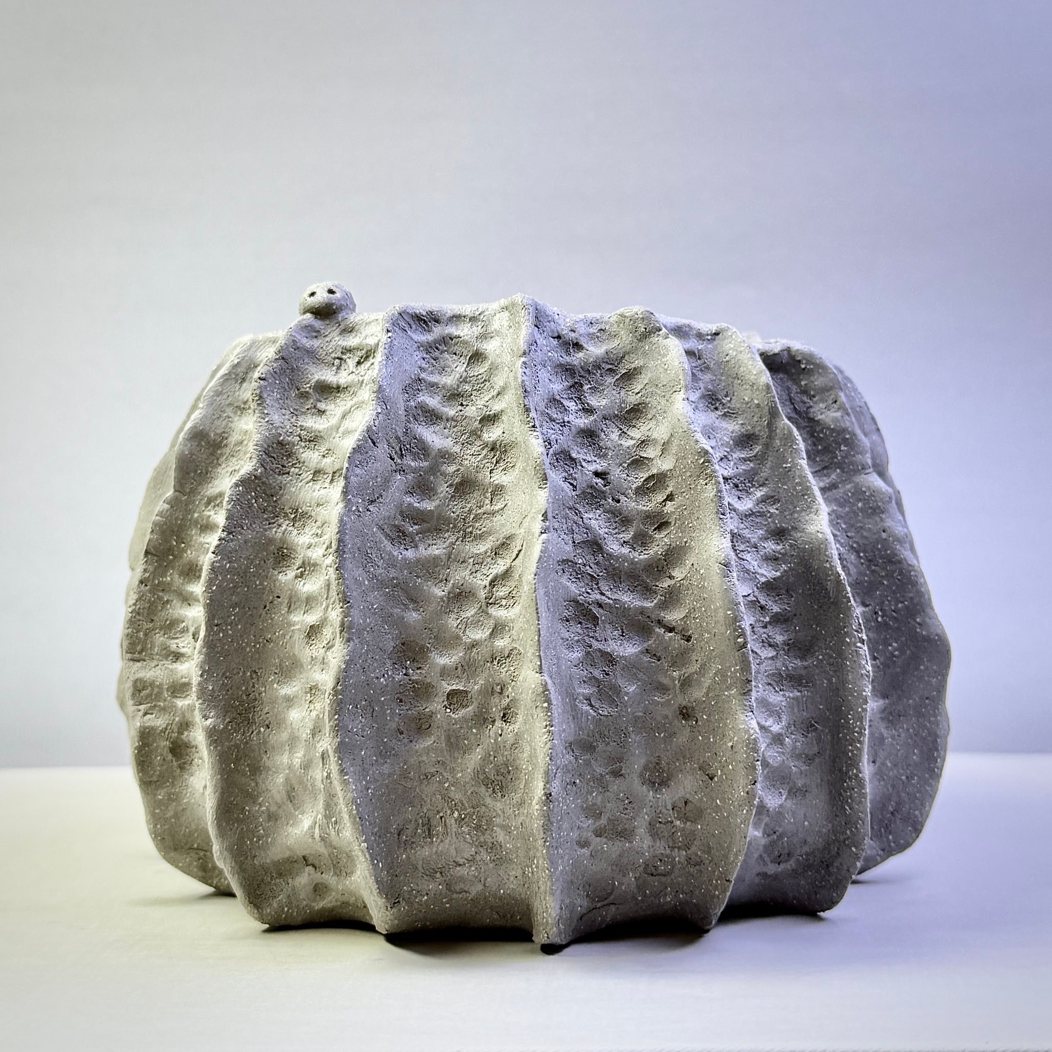 Handmade seed pod pot in pottery