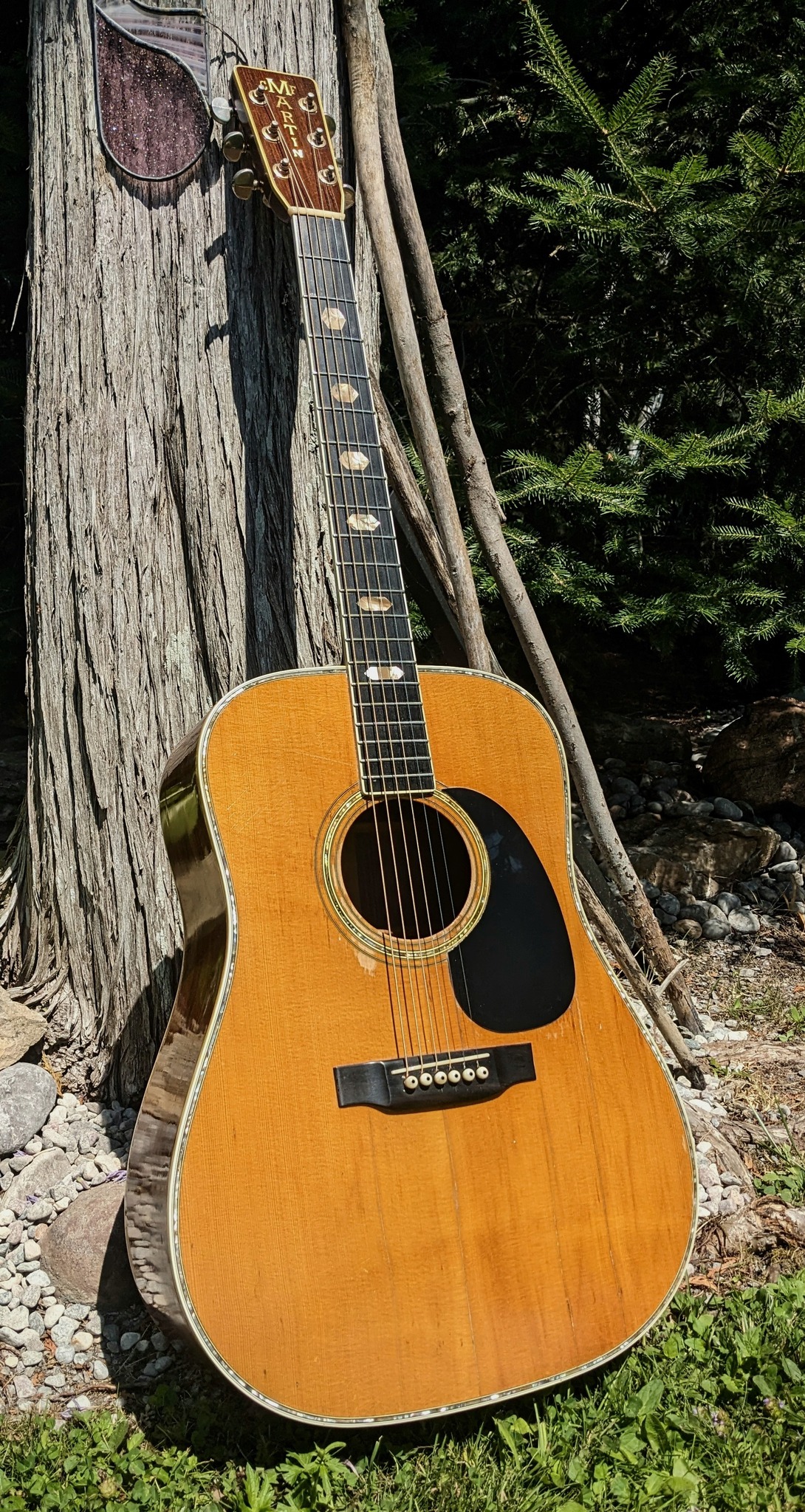 1979 Martin D-41 added to collection