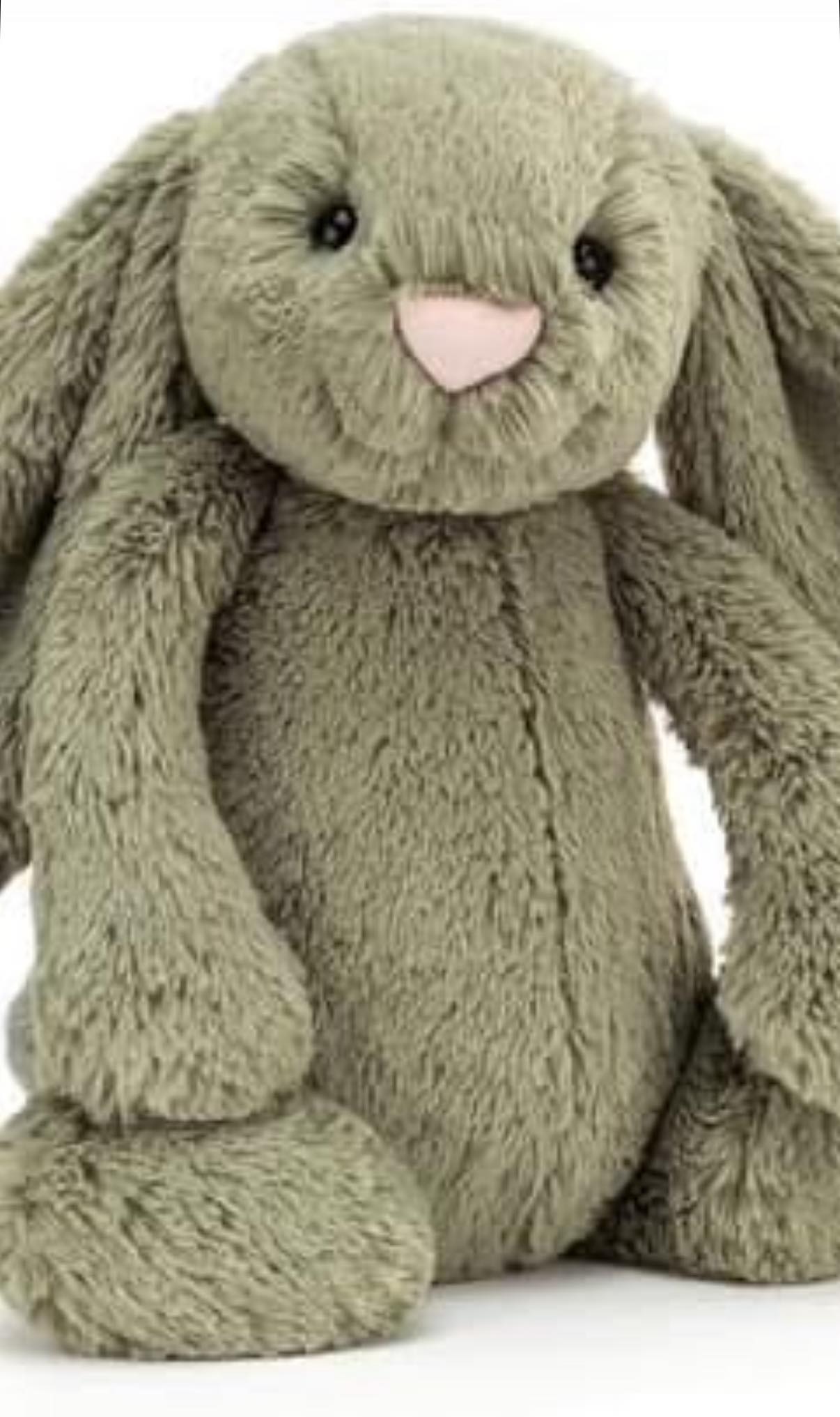 新品 Bashful Fern Bunny Medium Bashful Fern Bunny - Official Jellycat