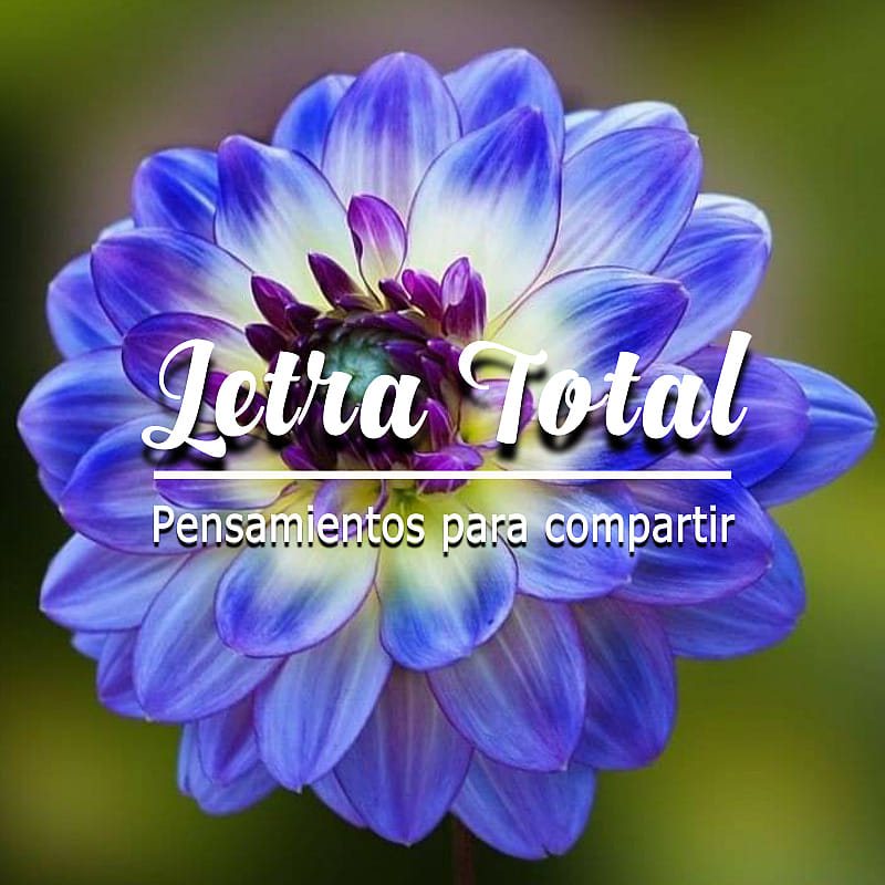 Letra Total