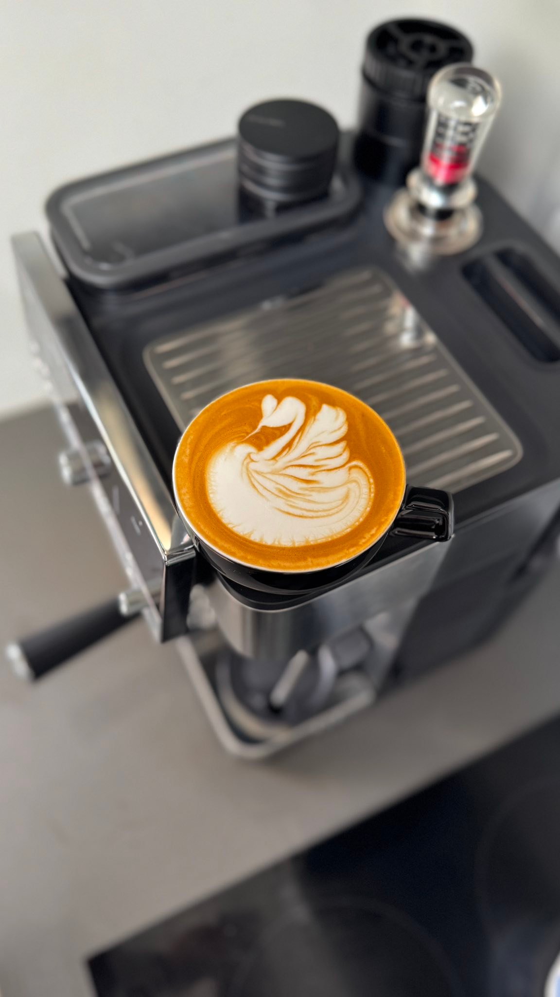Ninja Luxe Cafe whole milk pours with manual steaming