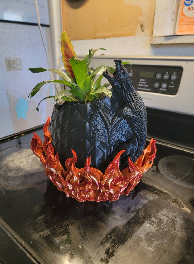 My wife helped me find the perfect plant to put in my dragon egg