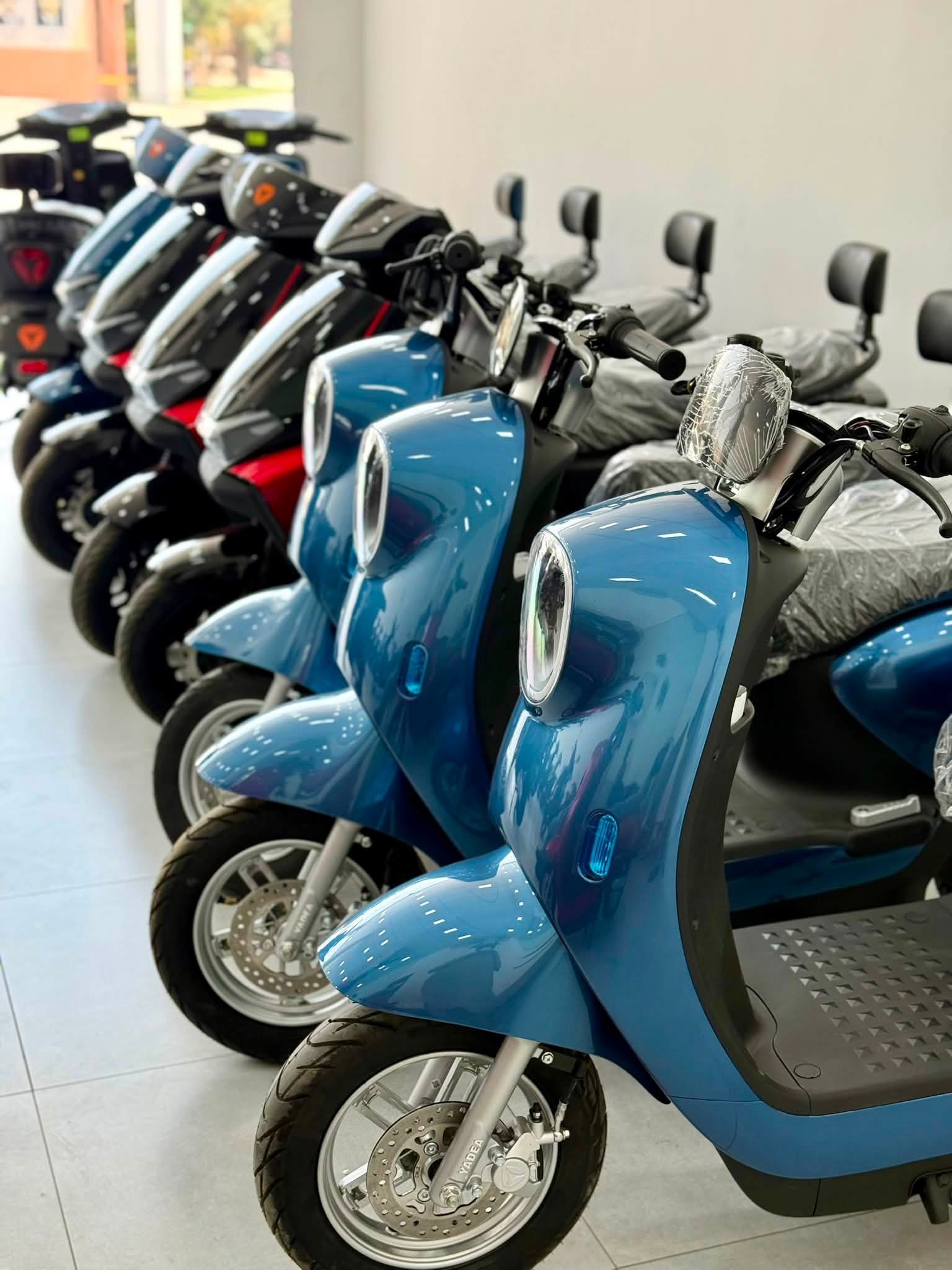 dealer electric scooter