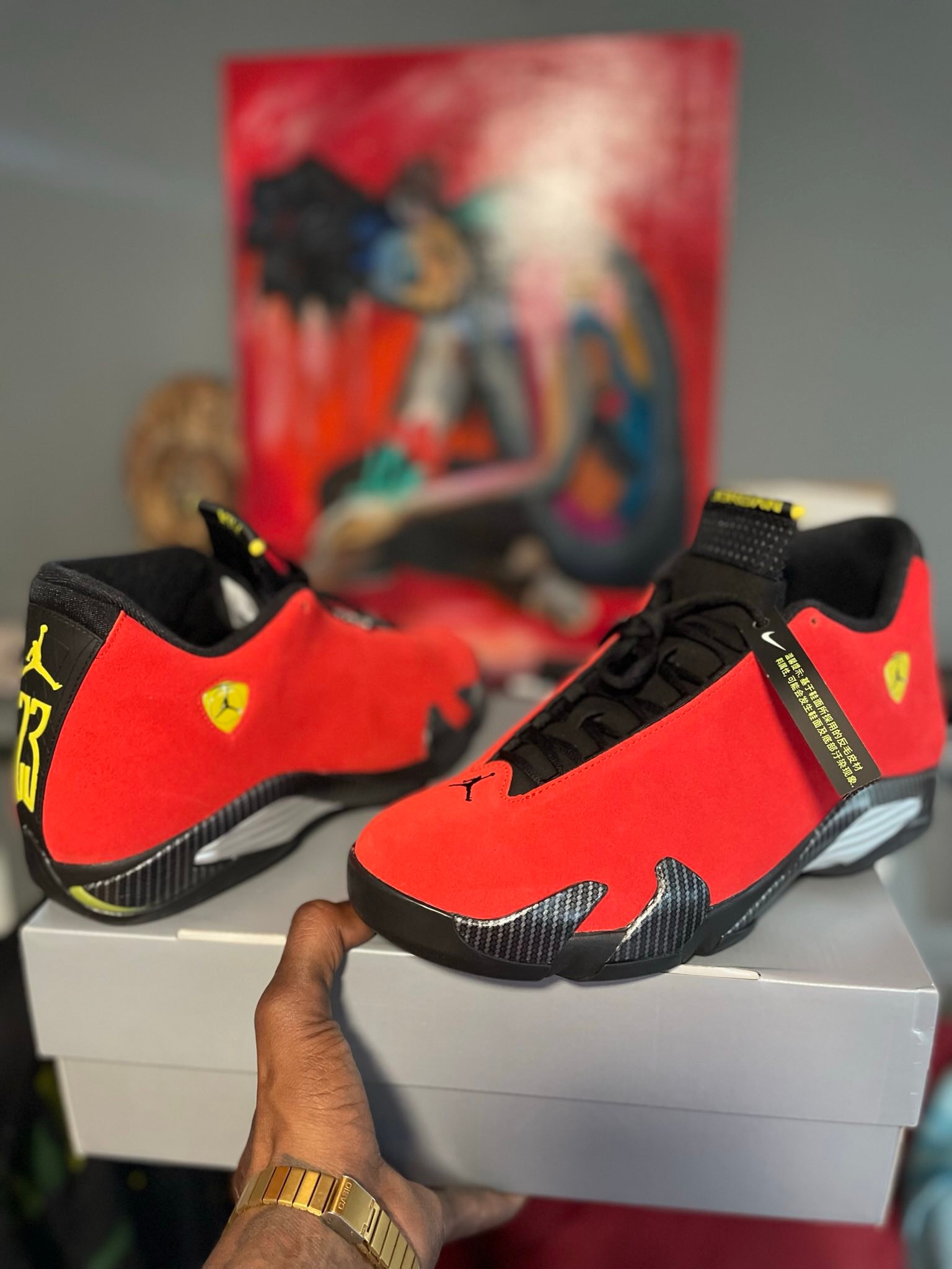 Jordan 14 Retro Ferrari 2025 ------ Looking for a specific model 