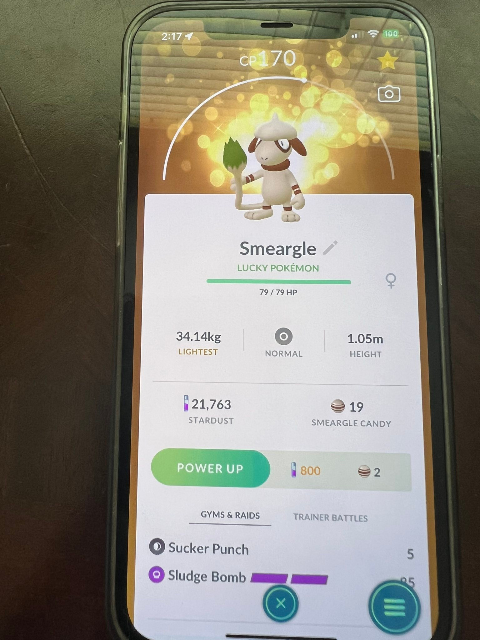 How To Find And Catch Smeargle In 'Pokémon GO