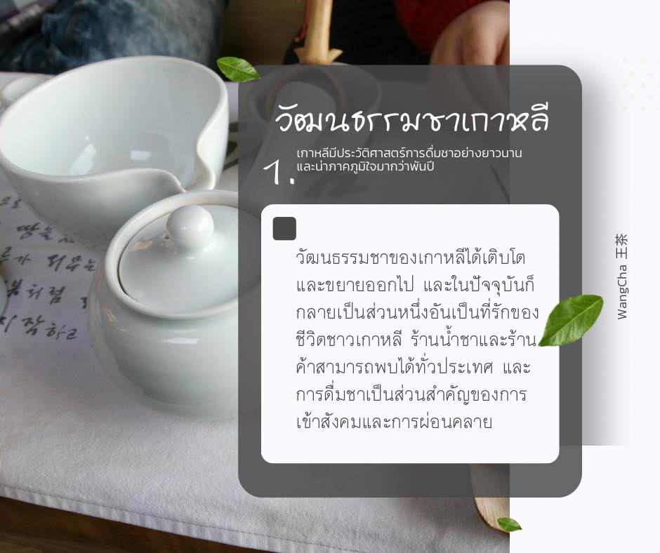 WangCha.王茶