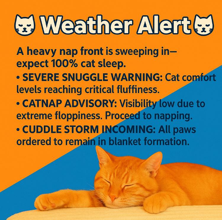 Dave Hoover - “Caturday Weather Alert!”☔️☀️⛅️🐾 #WeatherUpdate | Facebook