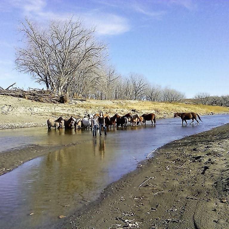 TnT Smith Ranch Quarter Horses