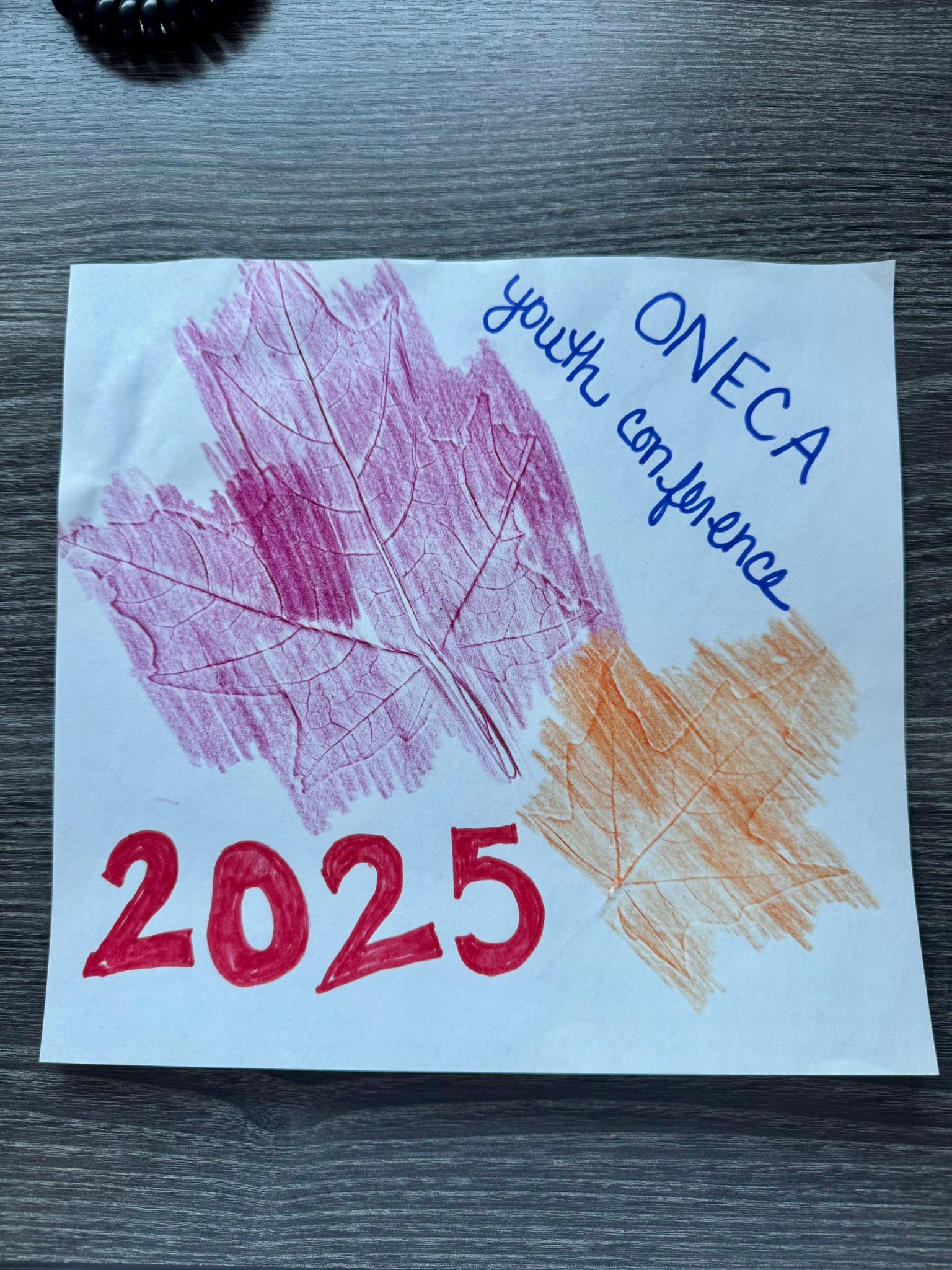 Biigtigong Nishnaabeg Social Services | The ONECA youth conference will ...