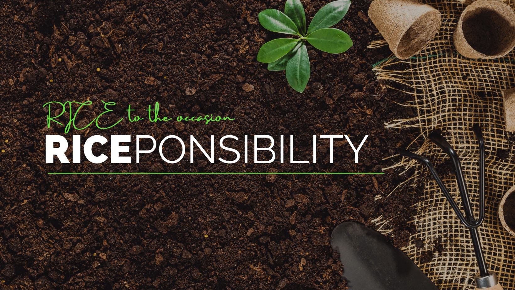 RICEponsibility