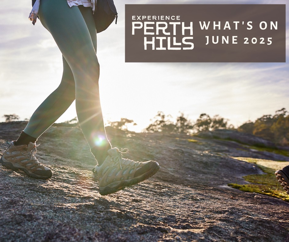 Experience - 📅 WHAT’S ON THIS JUNE And just like that… we’re halfway ...