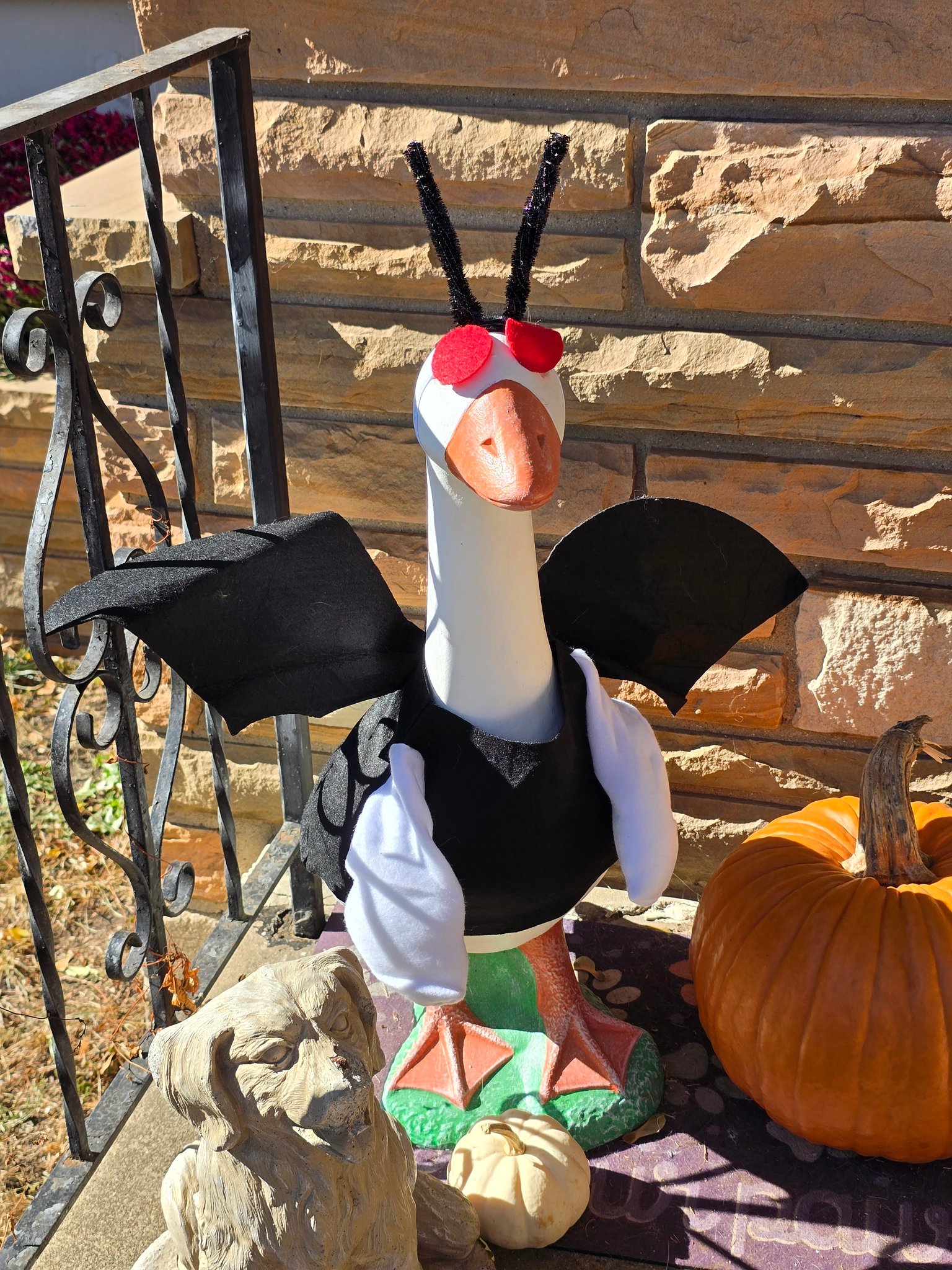 The Porch Goose Club of America | Facebook