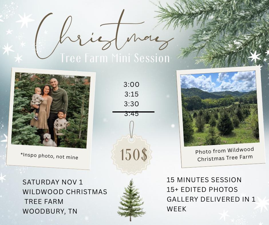 Murfreesboro, TN | 📣 LAST CALL for Christmas Tree Farm Minis | Facebook