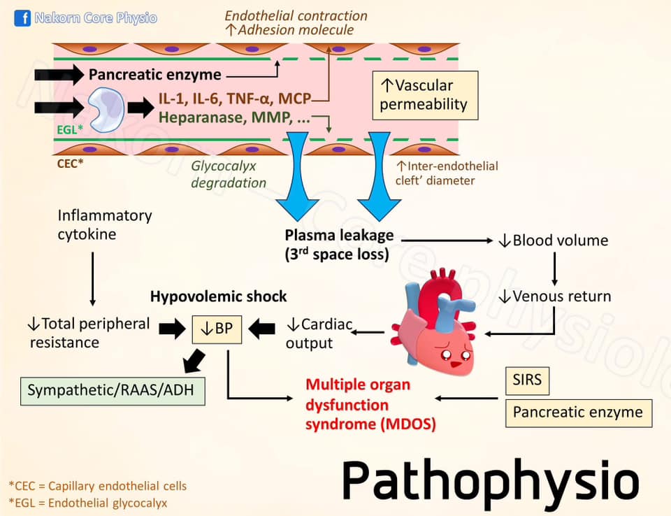สรุป Pathophysio 🫁 Hypoxia 🫁... - Nakorn - Core Physiology