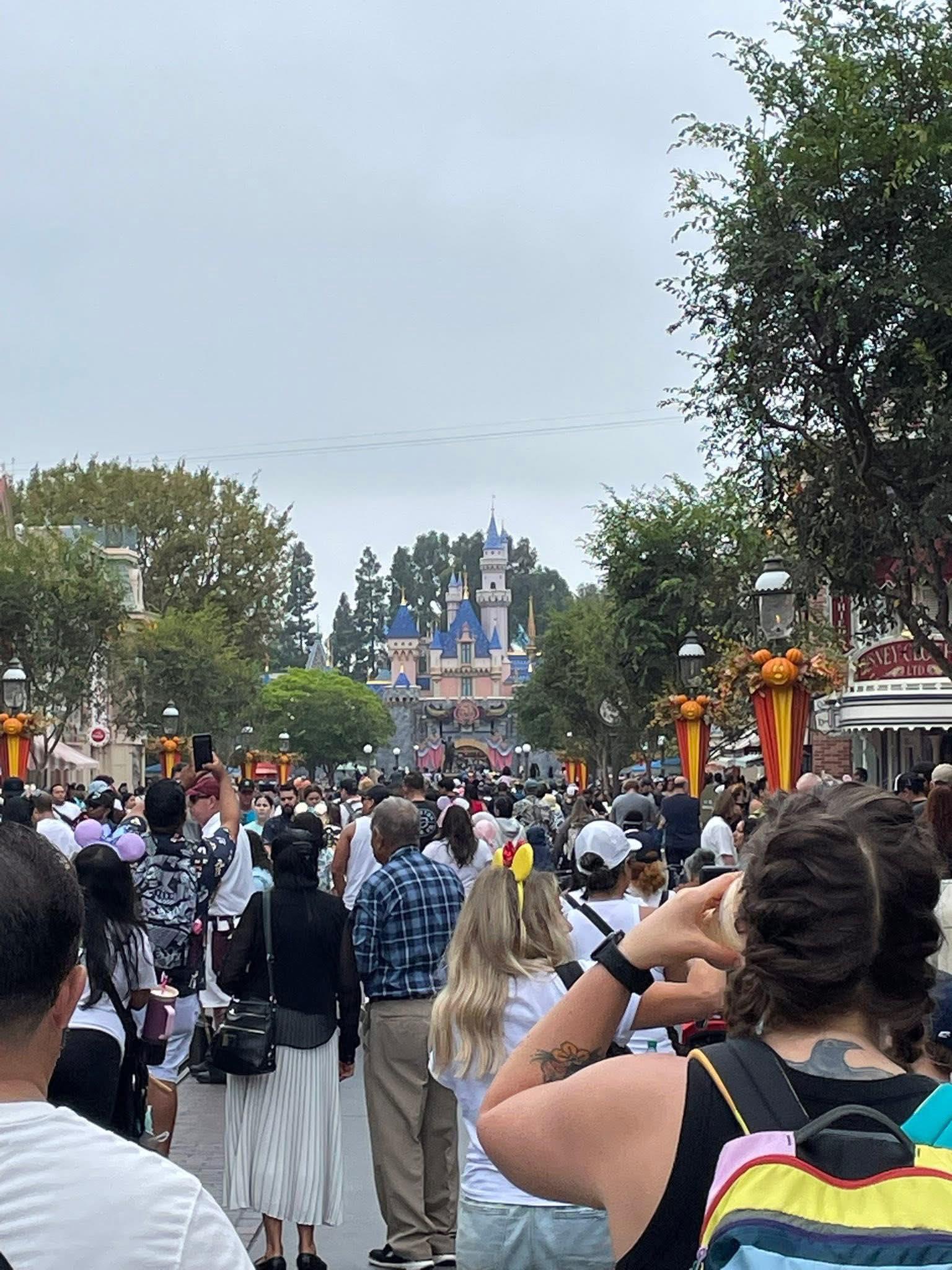 Rope Drop Humor | Facebook