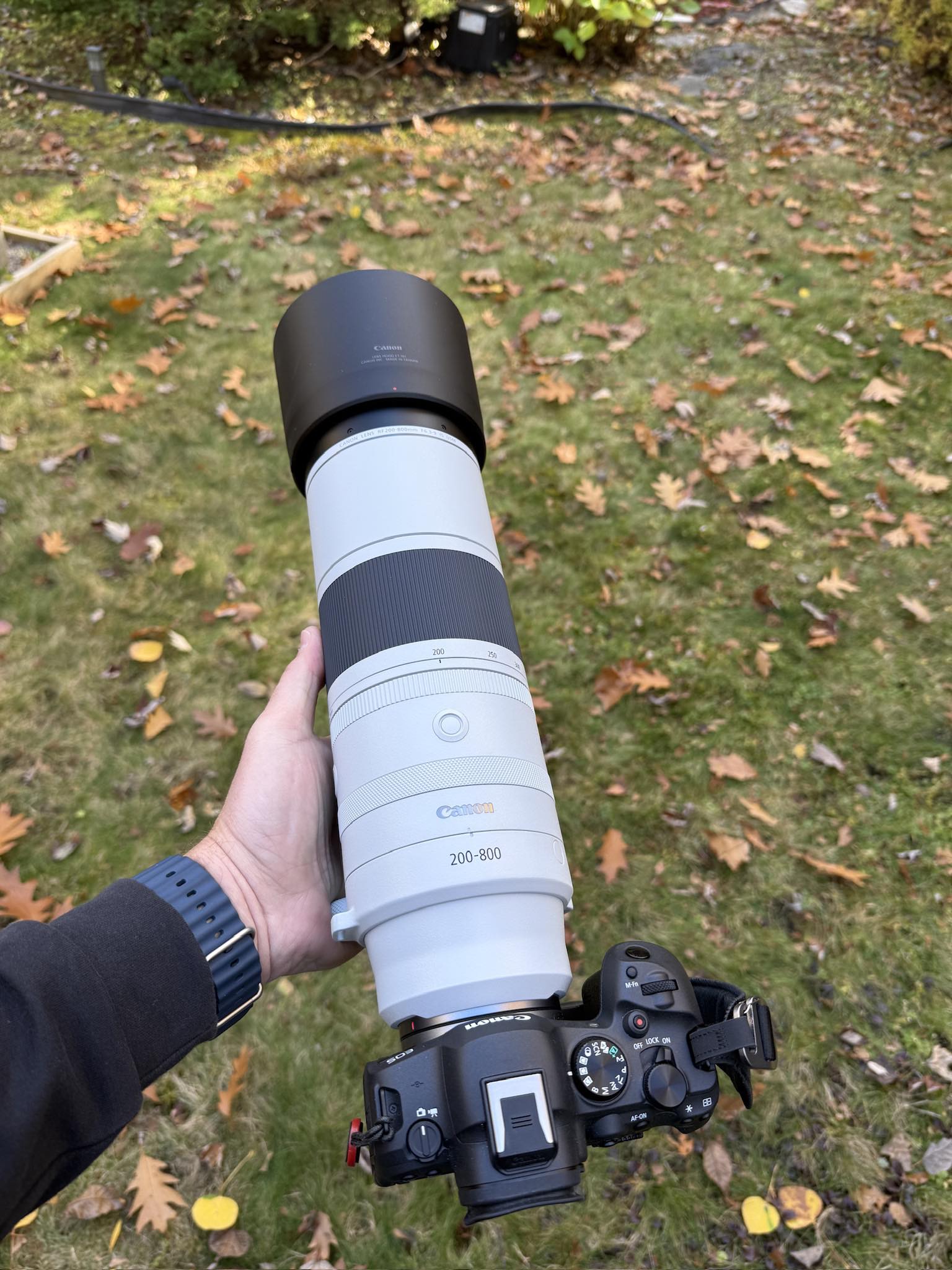 Canon RF 200-800mm | Yup this happened today, this bad boy came in ...