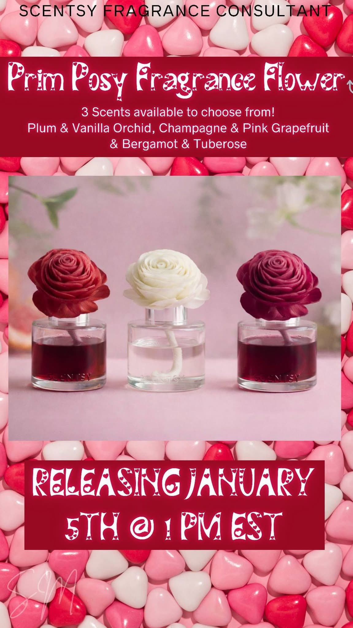 Linda Harrison - Independent Scentsy Consultant | Here are some great ...