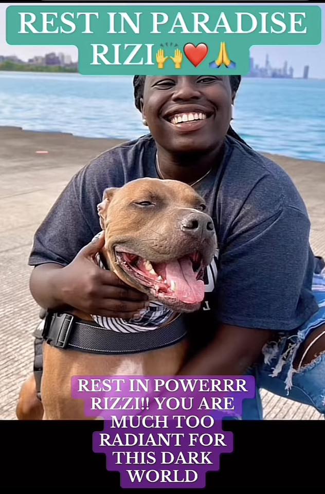 Ashlee Marne - TRIGGER WARNING ⛔️ RIP Rizzi 🕊️Rizzi took... | Facebook