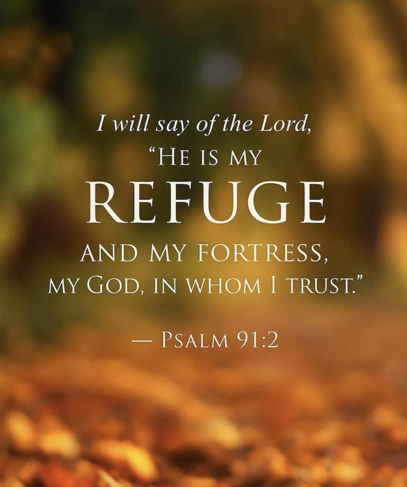 Inspirational Bible Verses | This verse is a bold declaration of faith ...