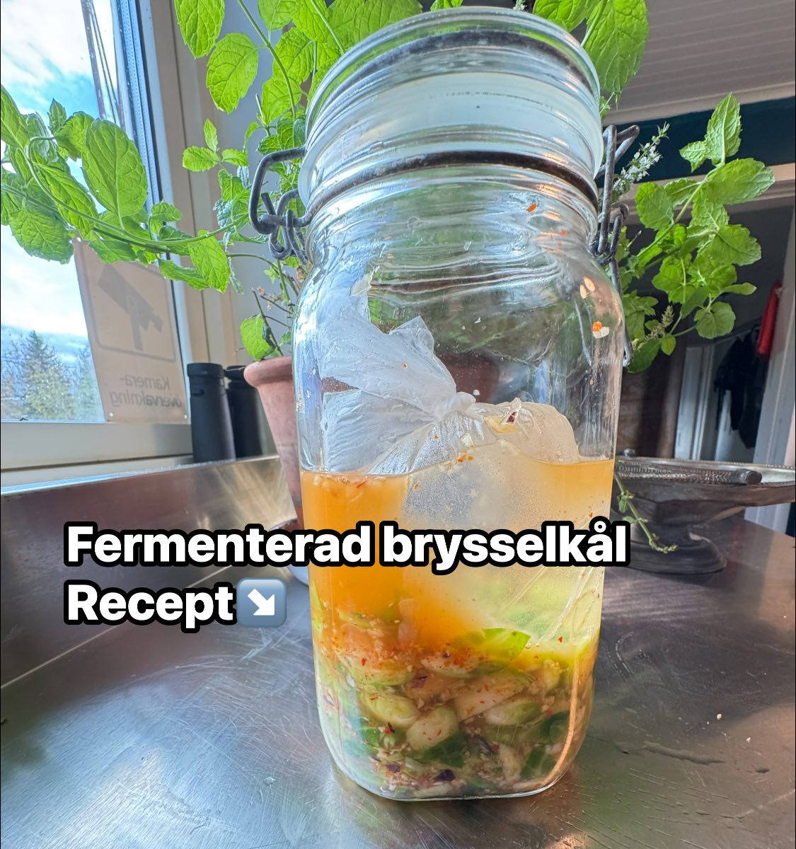 Ina - Fermenterad brysselkål Ingredienser: – 400 g brysselkål, rensad ...