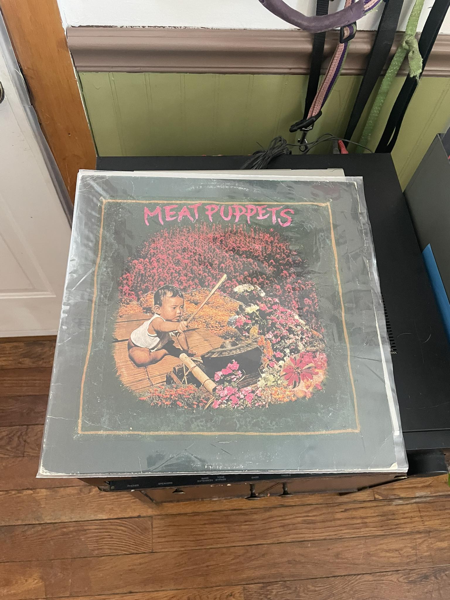 NOW AVAILABLE FOR PRE-ORDER ☆ MEAT PUPPETS LIVE AT MERLIN'S