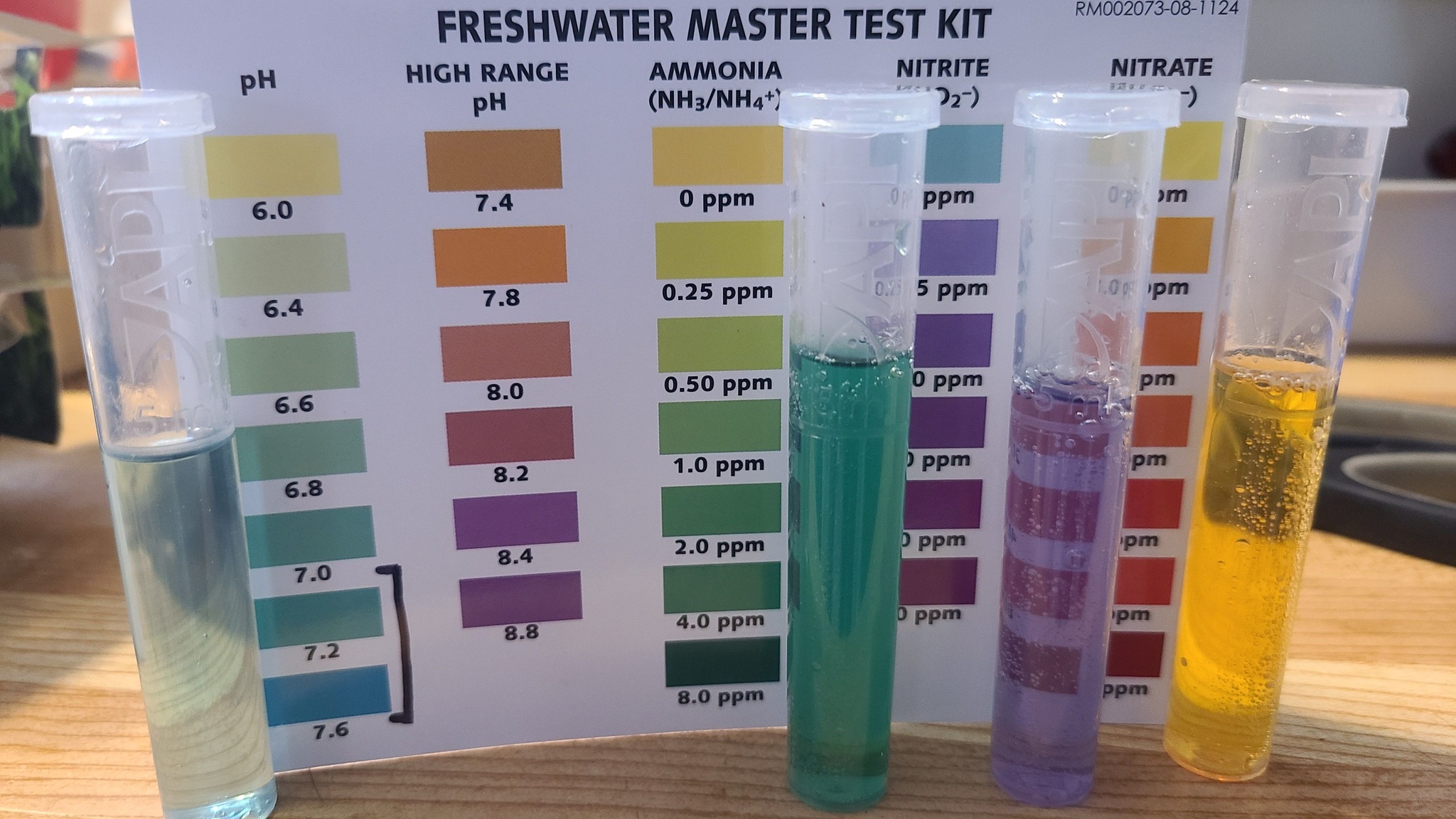 Fish Tanks for Beginners | What number ppm should a nitrate and ammonia ...