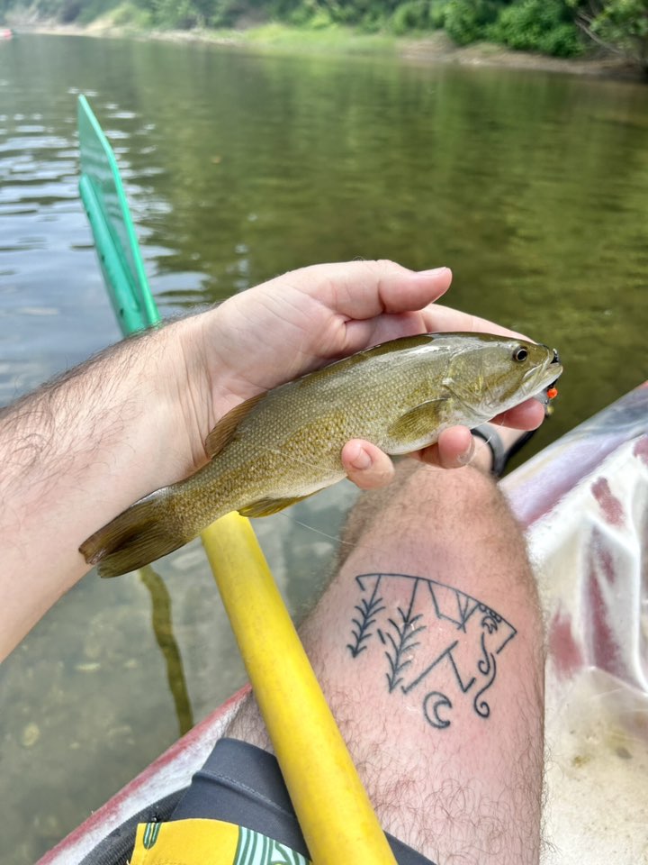 g loomis fishing rods hunington wv G. E6X Walleye Spinning Rod A fishing reel is cross-sell-tumbler-cup-holder-adapter Loomis technology and innovation Color:12 - Black Back/Pearl/Chartreuse Belly