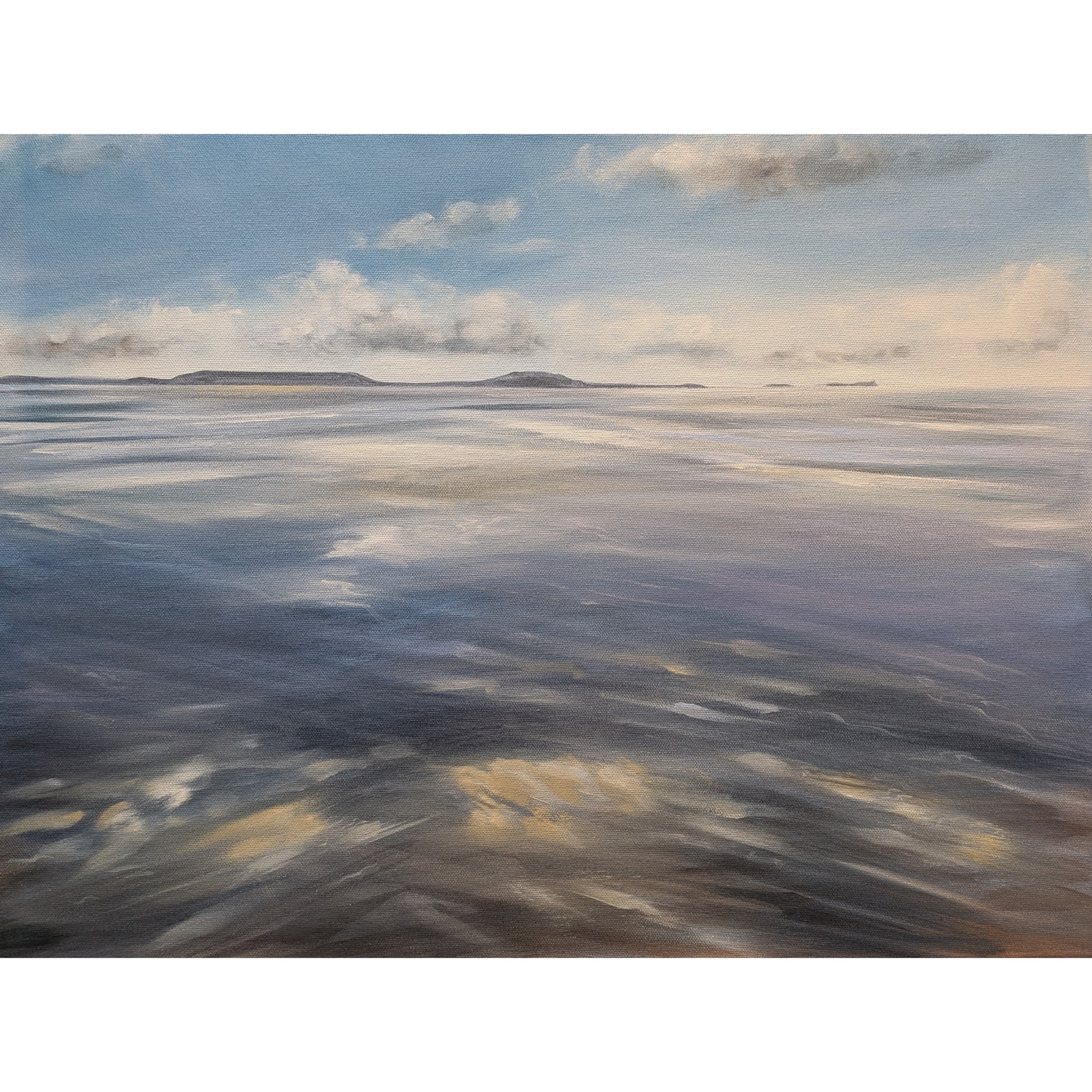 Mumbles, West Cross & Newton Community Group | Pembrey beach, looking ...