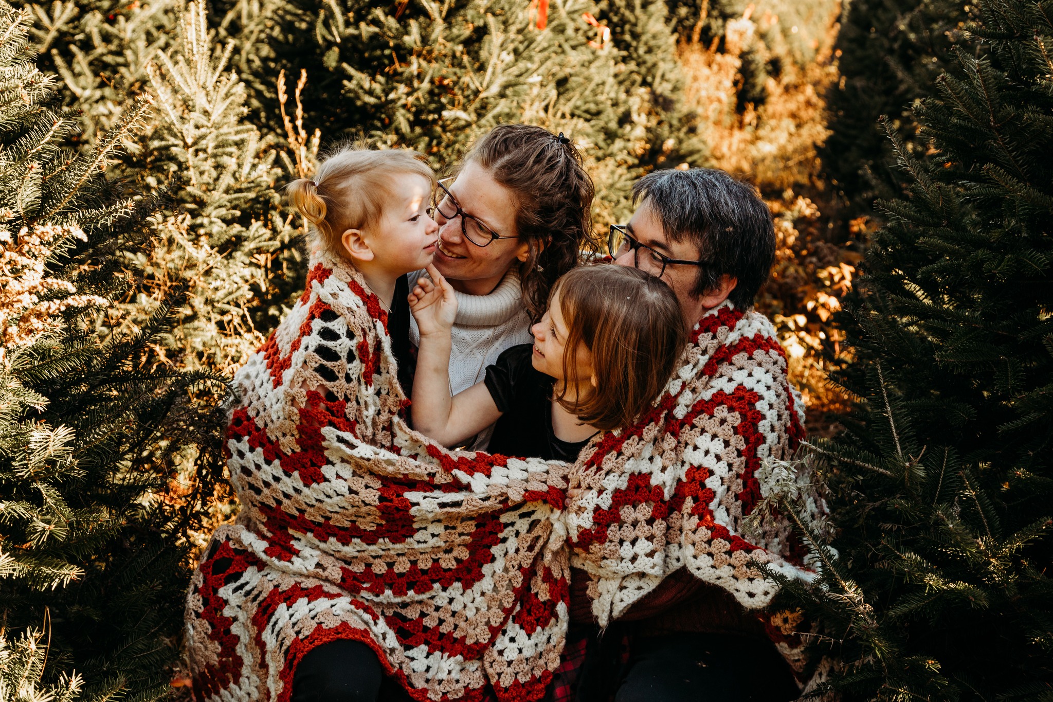 PEI GOOD News only! | 🎄 Holiday Minis at Smith’s Christmas Tree Farm 🎄 ...