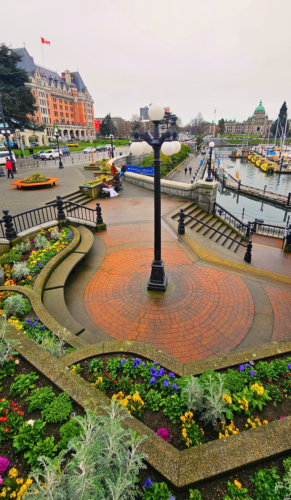Joel - Hints of spring in Victoria, BC 🌱 A very mild February afternoon ...