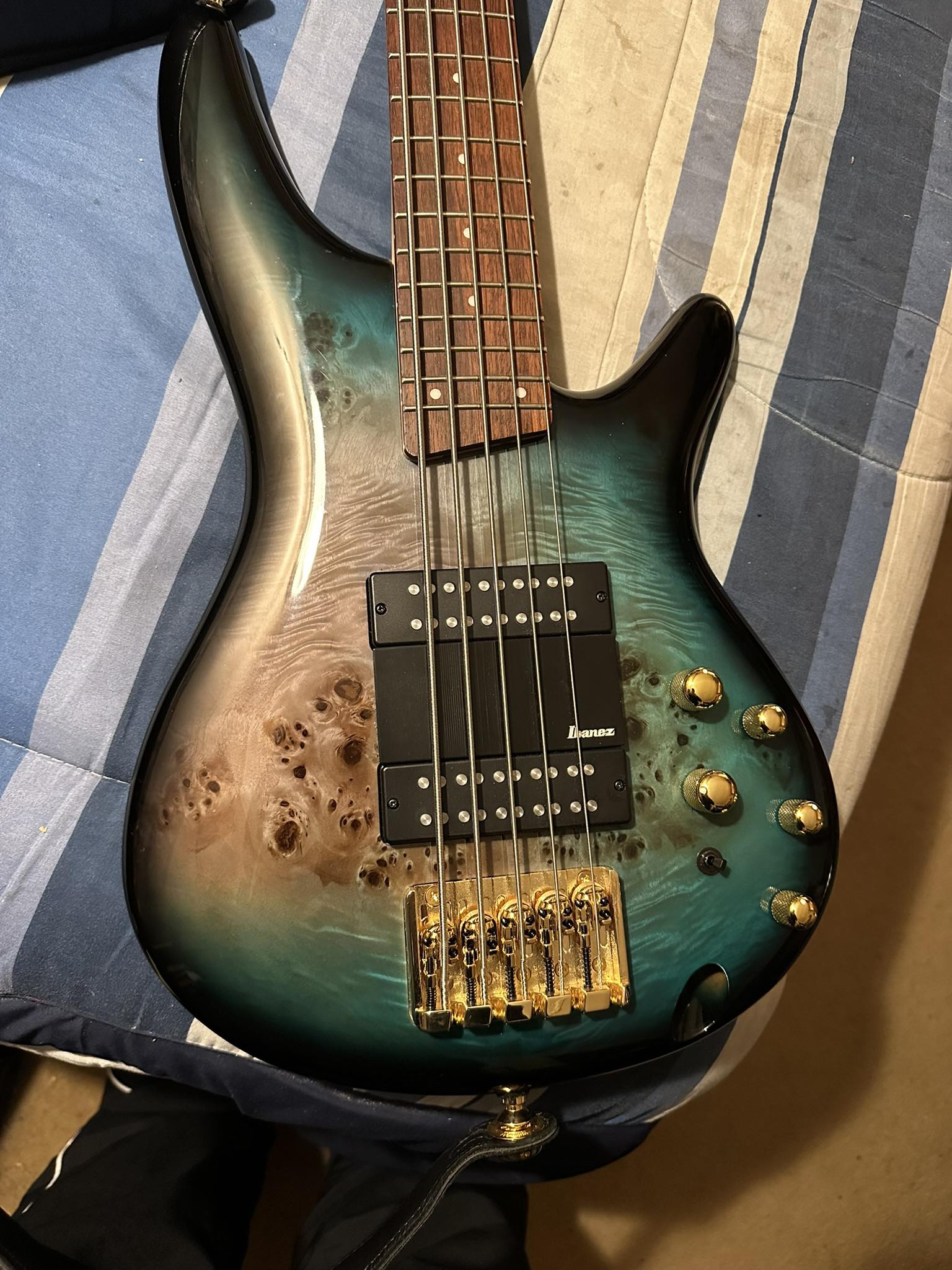 Interesting fact of the moment: The pickups in the Ibanez SR5005