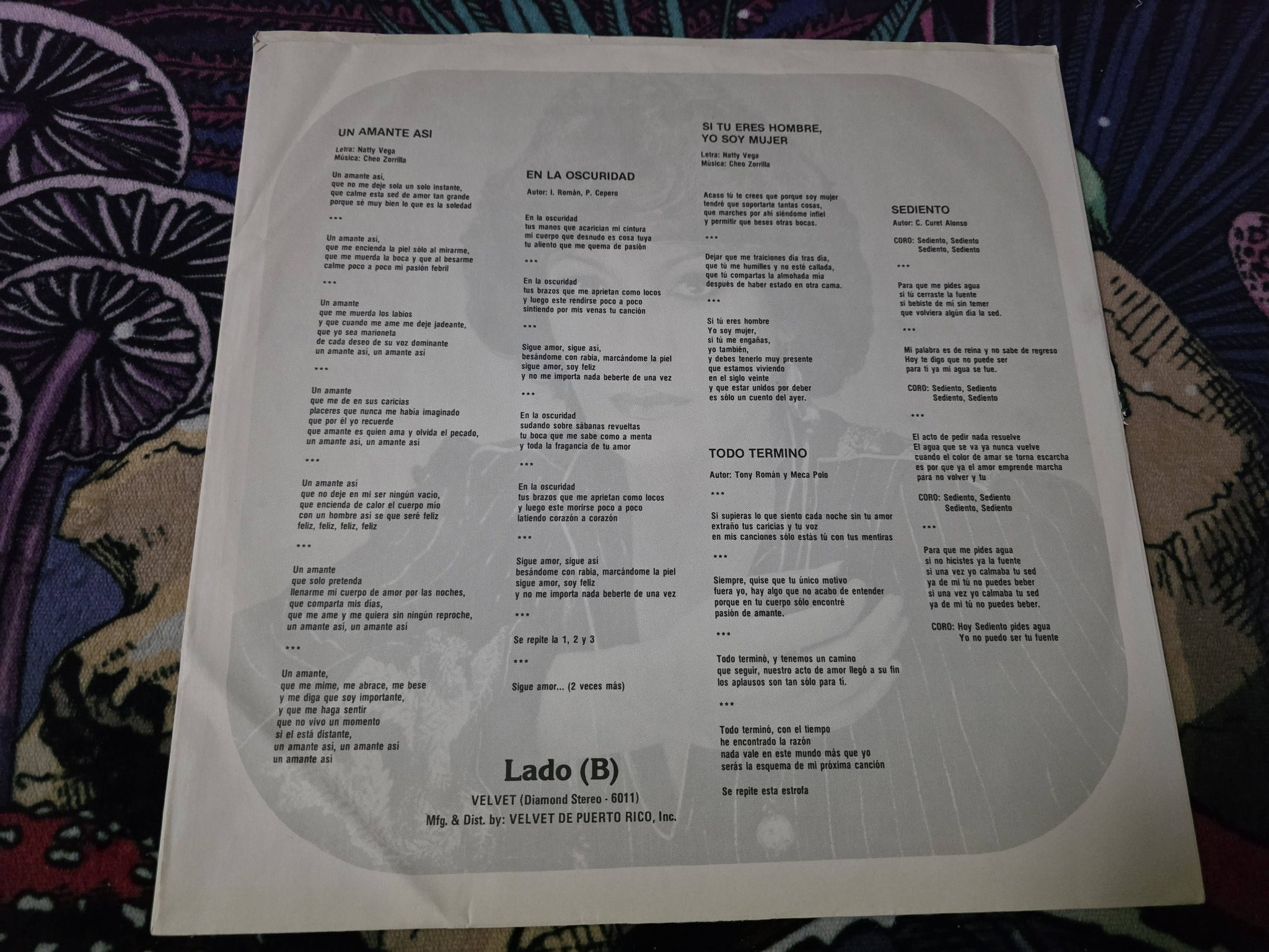 Sophy - Un Amante Así [A Lover Like This] 1981 Vinyl Record